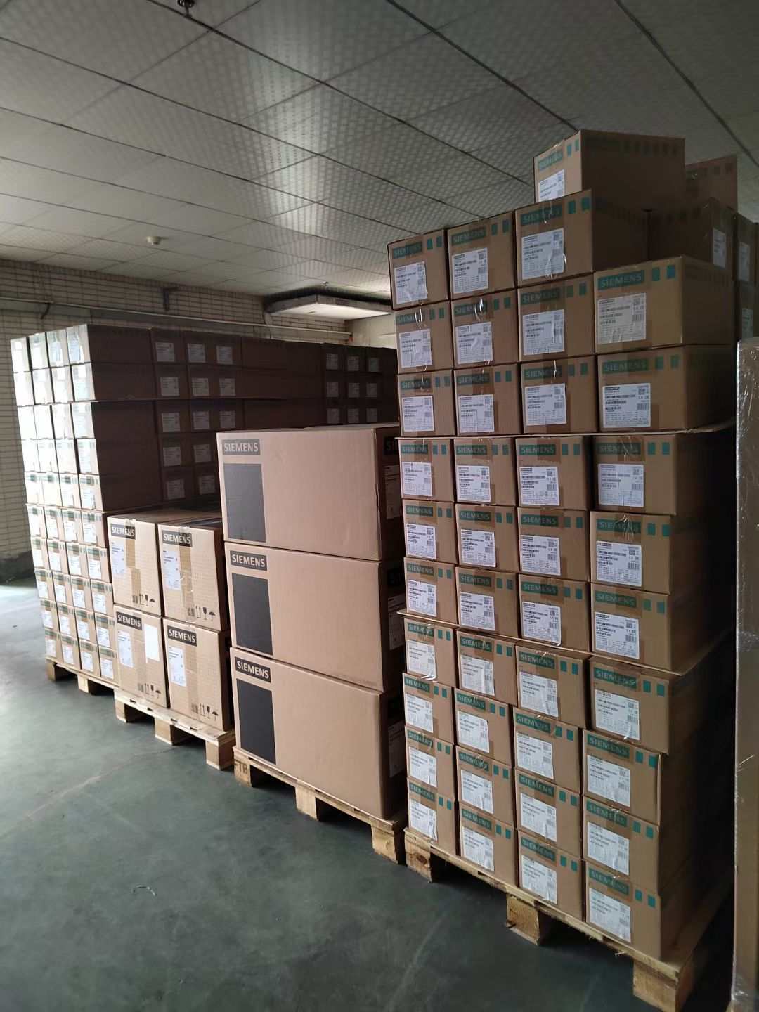 Extensive Genuine Inventory